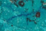 Colorful Chrysocolla and Shattuckite Slab - Mexico #227891-1